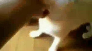 ❤❤전자여권위조pf-seoul＠bk.ru한국전자여권위조❤