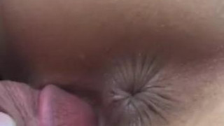 Hot Asian Collection