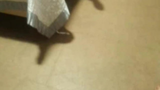 KBJ Korean BJ 2015020407 - 2