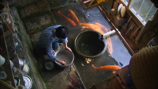 映像詩 里山 高画質版