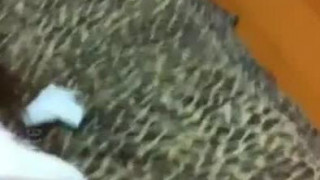 [自拍露臉]【制服誘惑】女友來家玩被淋濕～給她大號襯衫！穿出來都快撐不住了啊～帶到鏡子前面直接開始啪！（有影）