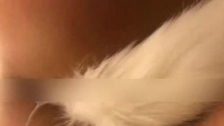 等不到天黑音乐唤起回忆媳妇第一次3P情景