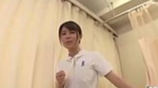 ヤングドキシーがイルミネーションを与える