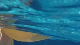 スレンダーな巨乳美女のイメージ無料エロ動画！【美女動画】