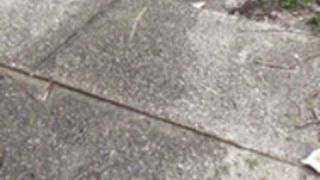 ヘアリープッシーアジアおしっこ