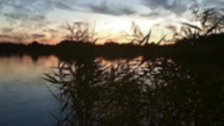 オランダの熟女は、屋外輪姦点滅し、ドッギング