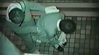 ナイトタイム屋外の公共セックスで