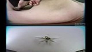 JAV VR ZENRA via Rika Mariエロティックマッサージ