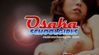 毛深いアジアの猫