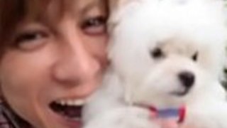 [Jap] [デジタルのみ] Yuki Selection - On JPorn.se