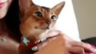 日本のマリカは、黒いコックのポルノで殴られたhotcamgirlsvideos.comでもっと